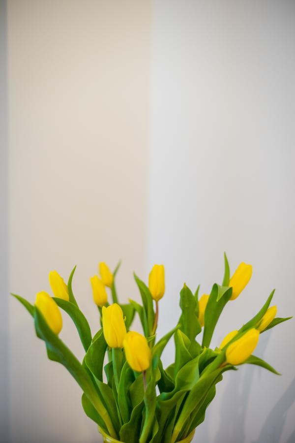 Apartament Zacisze Wawelofts 크라쿠프 외부 사진